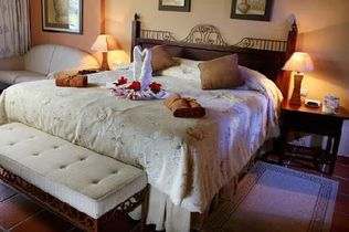 Hotel Occidental Grand Punta Cana room 2